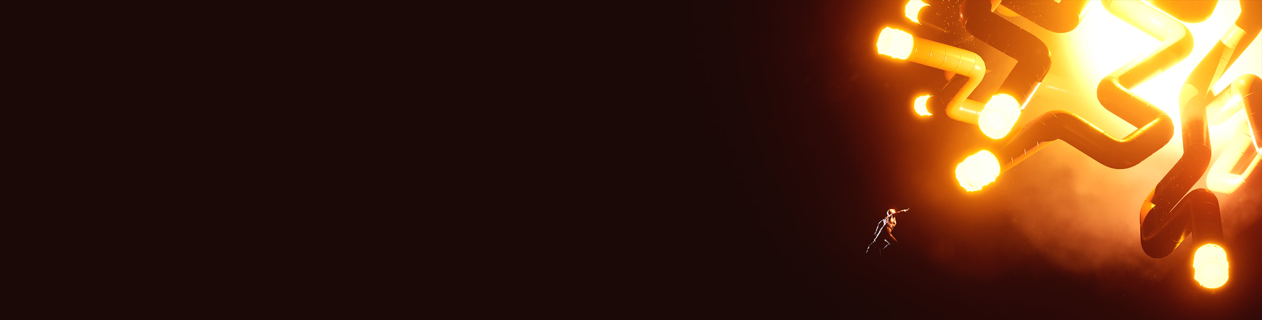 section_banner
